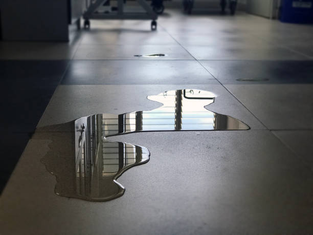Best Water damage mitigation services  in Adairsville, GA