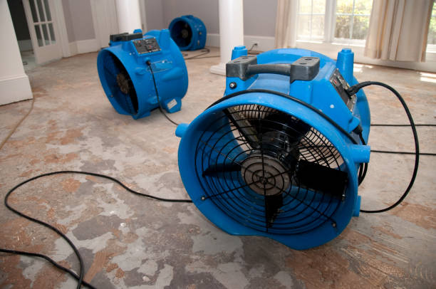 Best Water damage restoration near me  in Adairsville, GA