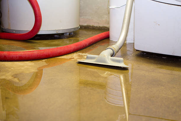 Best Fire Damage Restoration  in Adairsville, GA