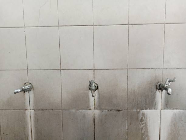 Best Local water damage restoration  in Adairsville, GA