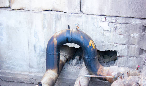Best Professional water damage repair  in Adairsville, GA
