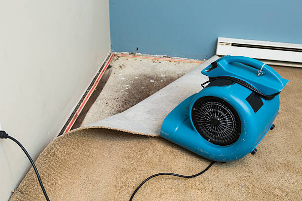 Best Emergency water damage restoration  in Adairsville, GA